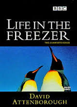 Life In The Freezer: Season 1