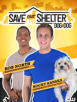 Save Our Shelter: Season 2