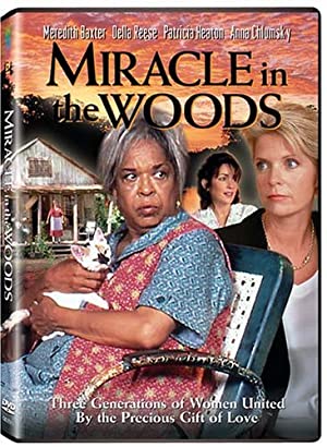 Miracle In The Woods