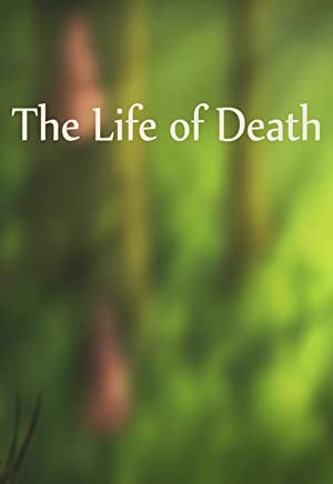 The Life Of Death