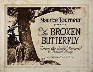 The Broken Butterfly