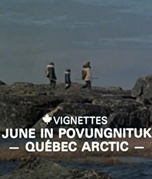 Canada Vignettes: June In Povungnituk - Quebec Arctic