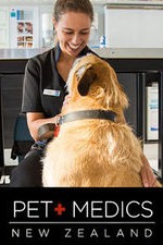 Pet Medics: Season 1