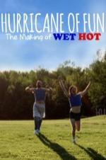 Hurricane Of Fun: The Making Of Wet Hot