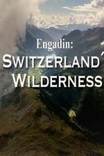 Engadin Switzerland's Wilderness